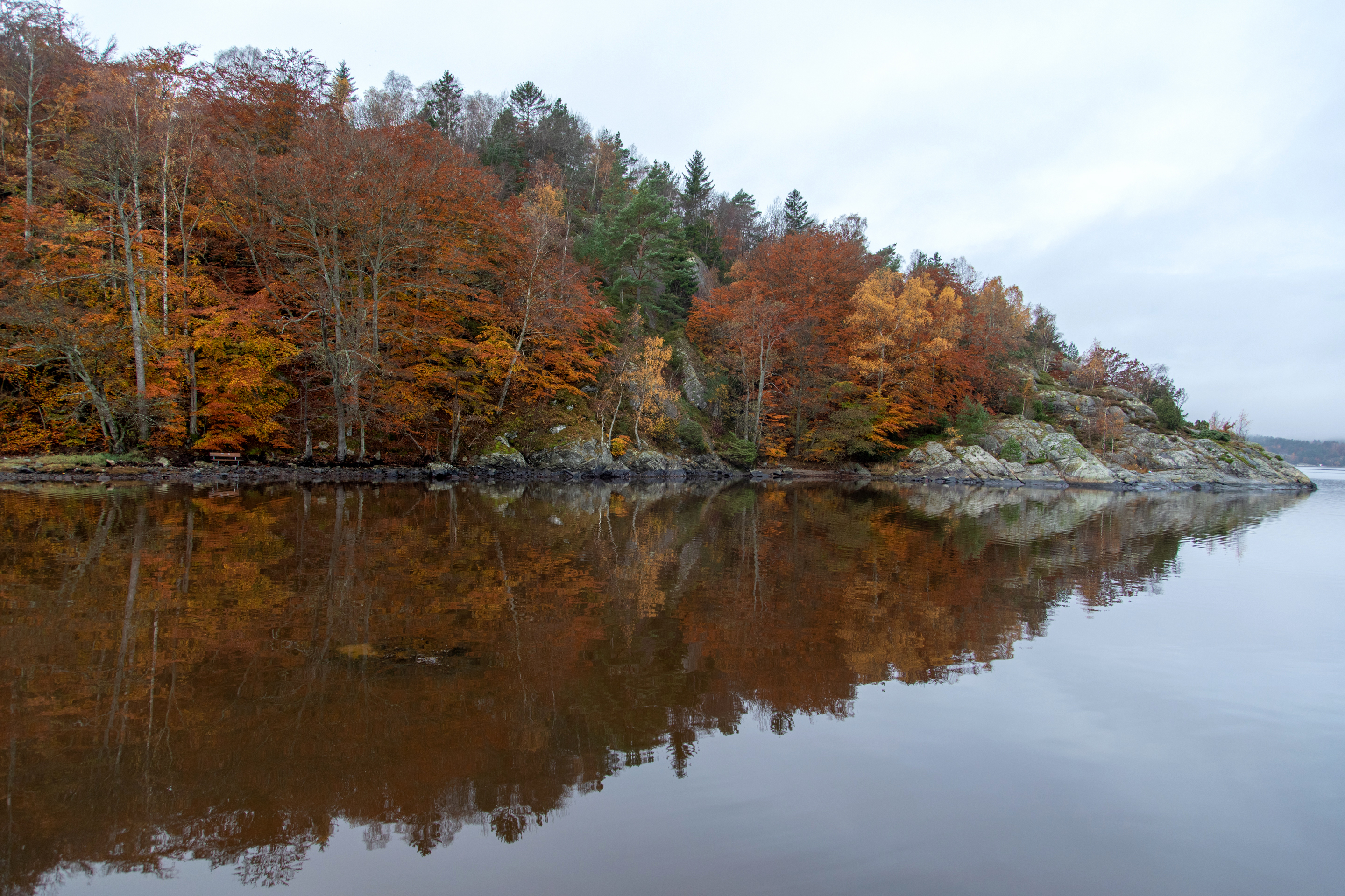 Swedish landscape